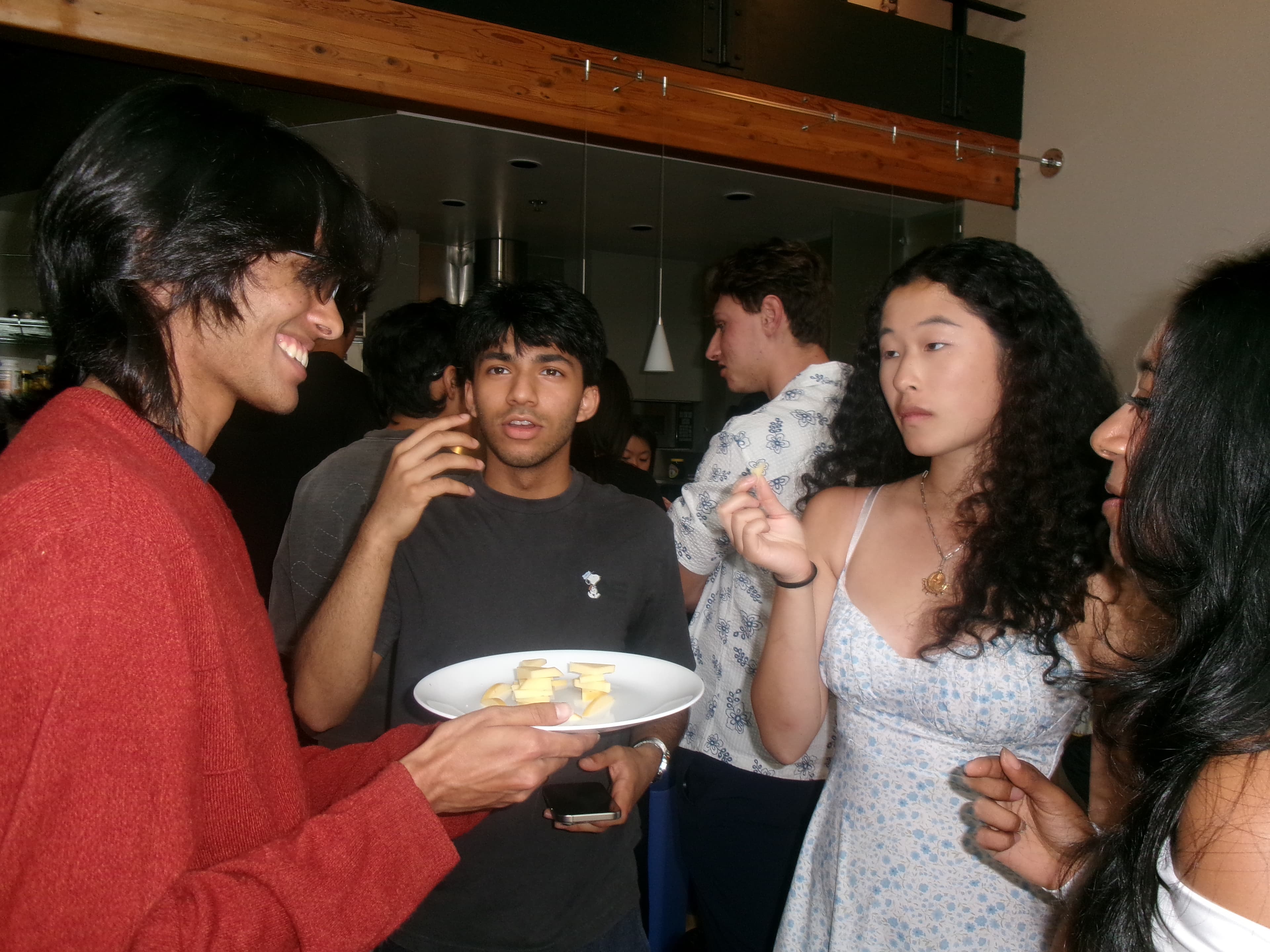 SF Tea Party, photograph 11