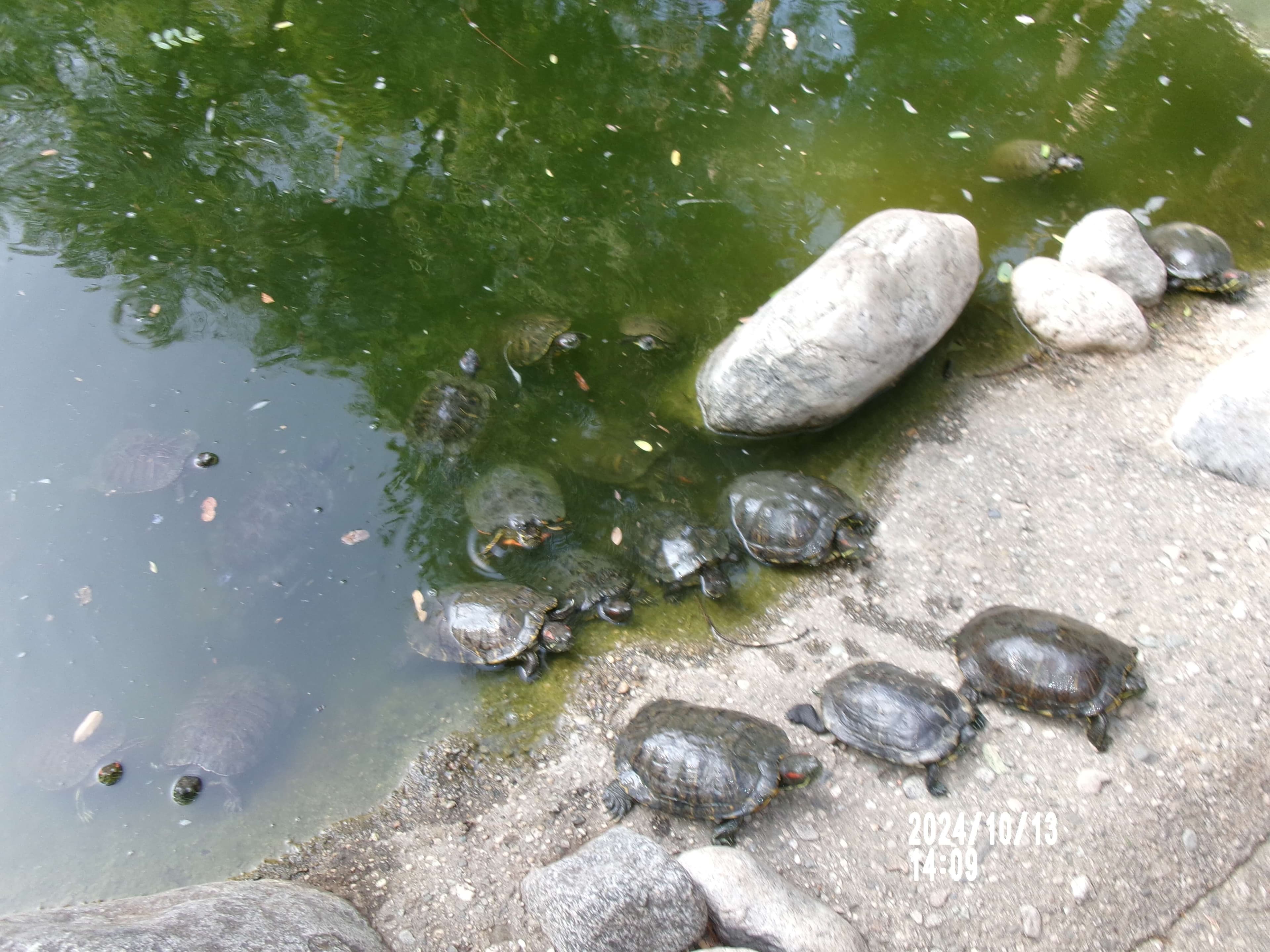 photo-13