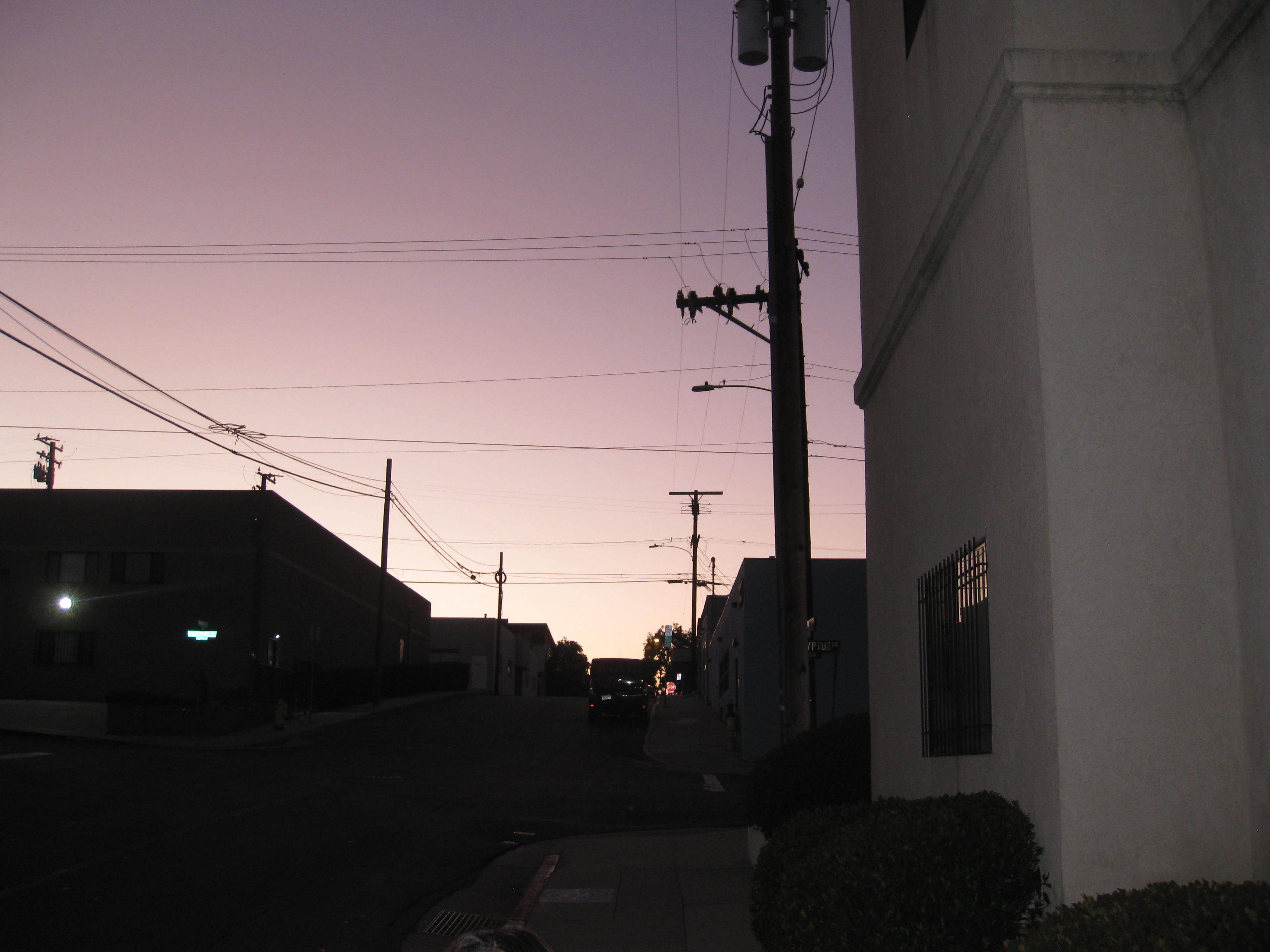 photo-30